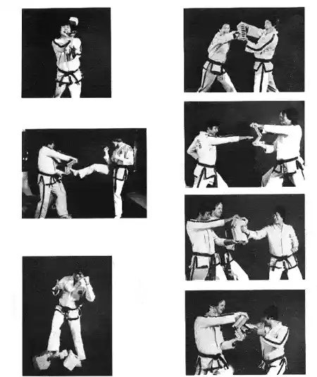 ITF Destruction Image 2