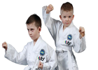 Parallax Taekwon-Do Kids Image