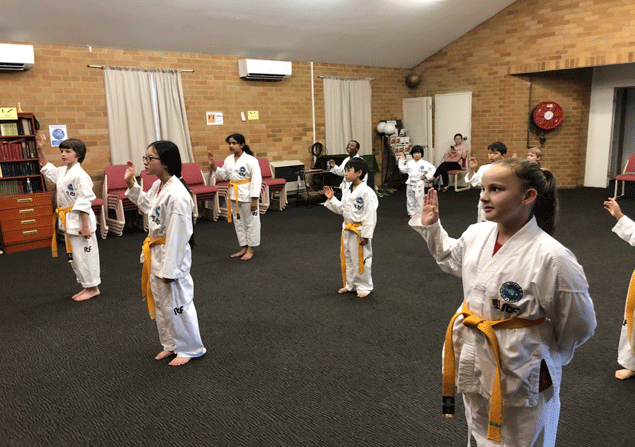 Parallax Taekwon-Do Grading Class