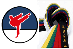 Parallax Taekwon-Do Grading Image