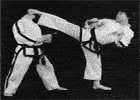 Parallax Taekwon-Do side kick