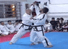 ITF Taekwon-Do Self defence